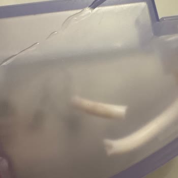 Servis Sonrası Roborock S7'nin Su Tankı Hasarlı Teslim Edildi, Mağduriyetimin Giderilmesini İstiyorum