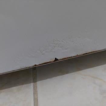 Vestel Buzdolabında Kısa Sürede Paslanma Ve Boya Kabarması Mağduriyeti