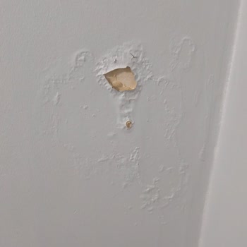 Baymak Yanlış Klima Montajı Yüzünden Evimde Rutubet Ve Küf Oluştu