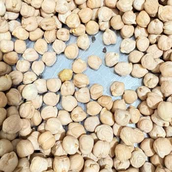 Şok Marketten Aldığım Nohut Paketinde Böcek Çıkması Ve Gıda Güvenliği Endişesi