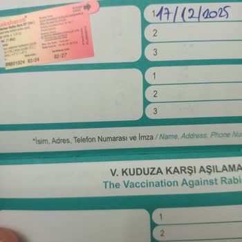 Kedimin Aşı Sonrası Yaşadığı Sağlık Sorunları Ve Maddi Zararımın Giderilmesini Talep Ediyorum