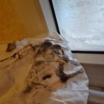 Tekirkent Temizlik Tarafından Verilen Hizmetten Hiç Memnun Kalmadım