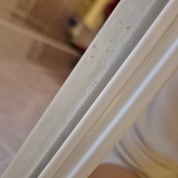 Tekirkent Temizlik Tarafından Verilen Hizmetten Hiç Memnun Kalmadım