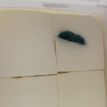 Balkan Peynirin Ambalajı Açıldığında Küflü Çıkması Ve Güven Sorunu