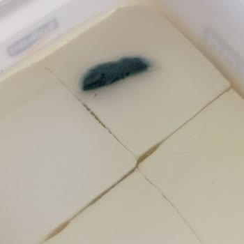 Balkan Peynirin Ambalajı Açıldığında Küflü Çıkması Ve Güven Sorunu