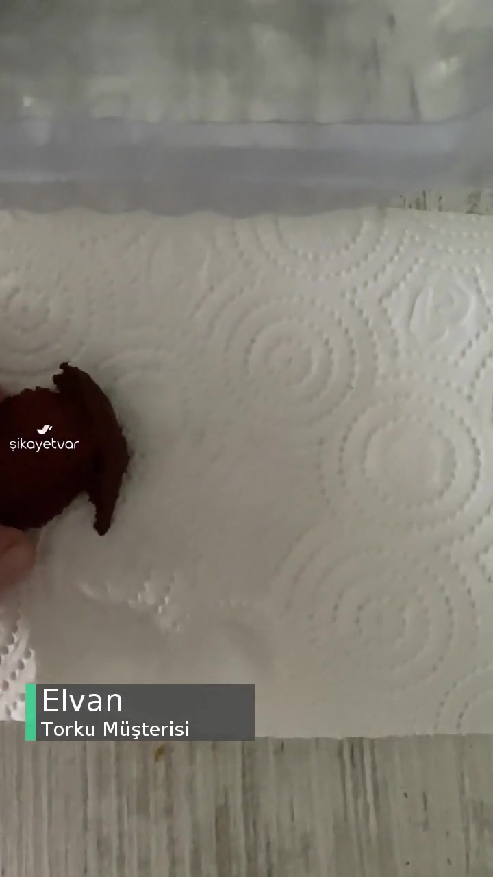 Torku Sucukta Kıl Çıktı! videonun kapak resmi