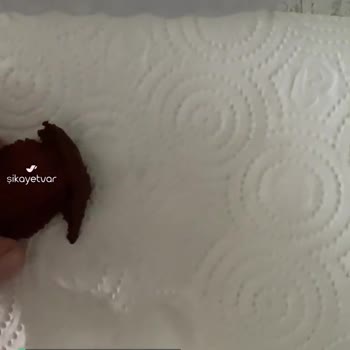 Torku Sucukta Kıl Çıktı!
