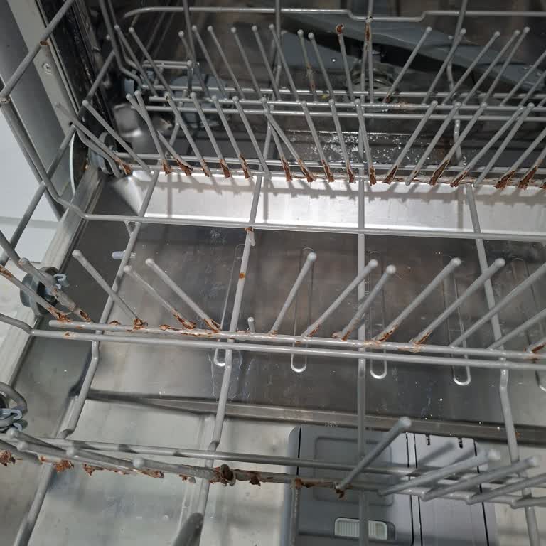 Samsung Bulaşık Makinesi Tellerinde Paslanma Ve Deformasyon Sonrası Yetersiz Destek