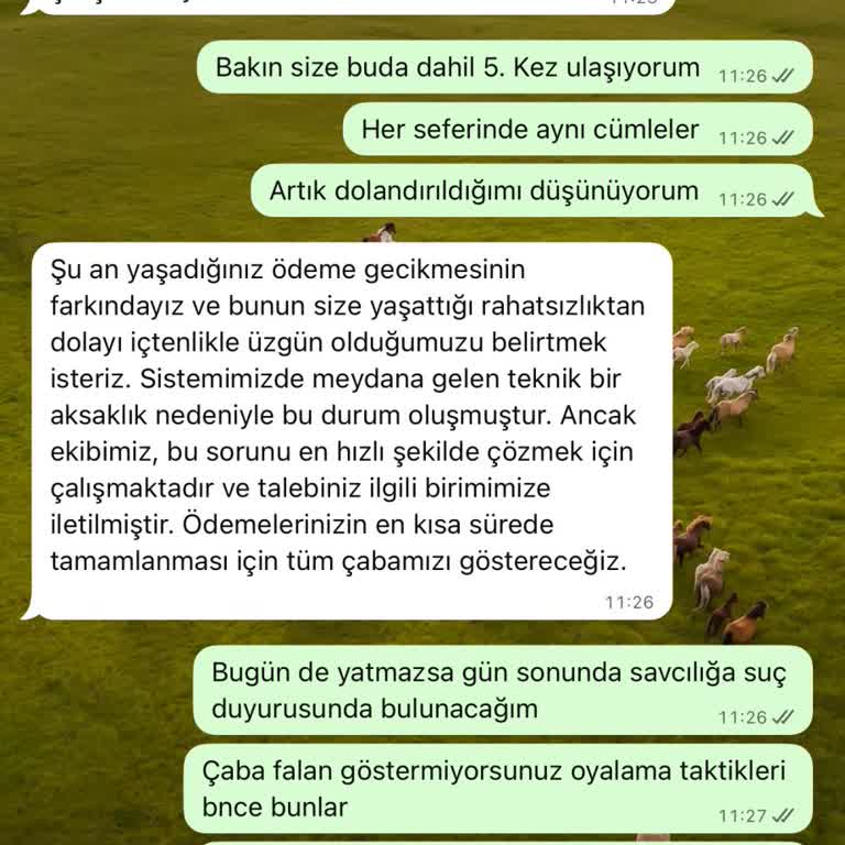 Satış Sonrası Ödeme Sözü Tutulmadı Mağduriyetim Günlerdir Sürüyor