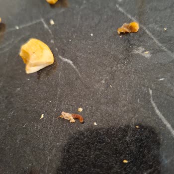 Migros'tan Alınan Kaju Fıstığında Kurt Çıkması Ve Hijyen Endişesi