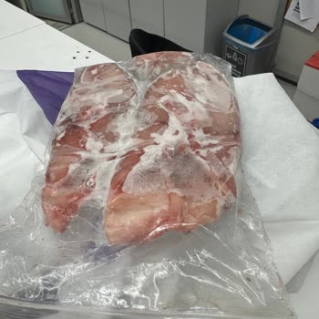 Metro Grossmarket'ten Aldığım Balık Ailemde Ciddi Sağlık Sorunlarına Yol Açtı