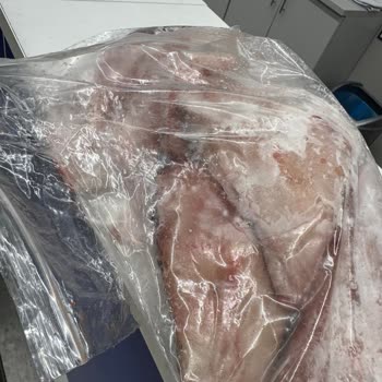 Metro Grossmarket'ten Aldığım Balık Ailemde Ciddi Sağlık Sorunlarına Yol Açtı