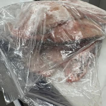 Metro Grossmarket'ten Aldığım Balık Ailemde Ciddi Sağlık Sorunlarına Yol Açtı