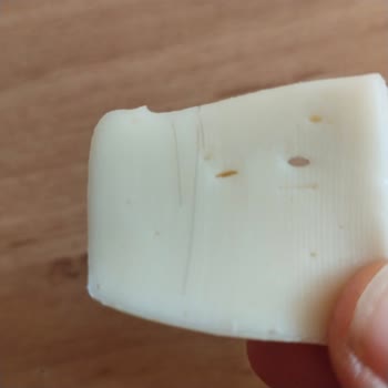 Eker Kaşar Peynirinin İçinden Kıl Çıkması Karşısında Hayal Kırıklığı Ve Güven Sorunu