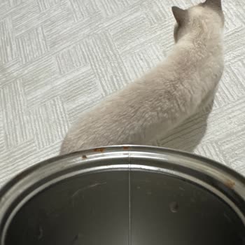 Paslanmış Termos Gönderimi Ve Çözüm Eksikliği Nedeniyle Hayal Kırıklığı