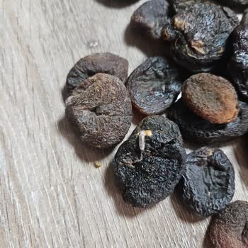 A101'den Aldığım Küflü Kayısı Sağlık Riski Oluşturdu