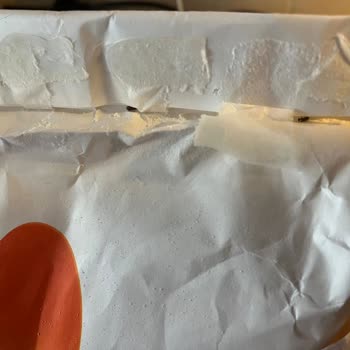 Aynı Markette Aynı Un Markasında Tekrar Böcek Ve Kurt Sorunu Yaşadık