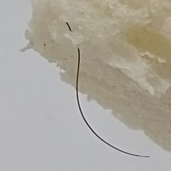 UNO Büyük Tost Ekmeğinde Hijyen Sorunu Ve İletişimsizlik