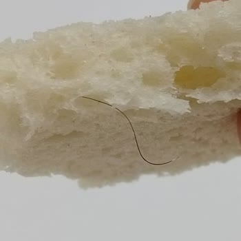 UNO Büyük Tost Ekmeğinde Hijyen Sorunu Ve İletişimsizlik