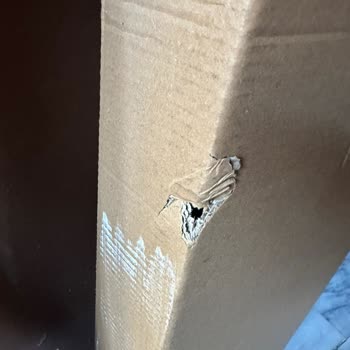 Sürat Kargo Hasarlı Teslimat Ve İlgisizlik Mağduriyeti