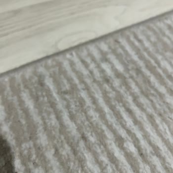 Nazar Halı Yıkama (Eskişehir) Kirli Ve Sigara Kokulu Halı, Saygısız Hizmet