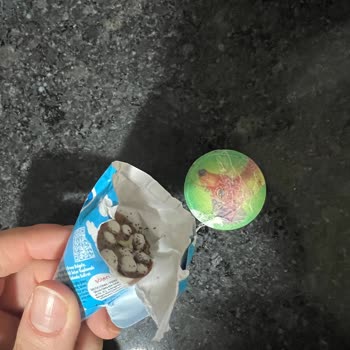 Aldığım Dondurmada Böcek Ve Ağ Çıktı Hijyen Ve Sağlık Konusunda Endişeliyim