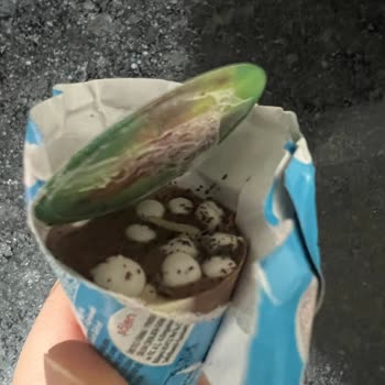 Aldığım Dondurmada Böcek Ve Ağ Çıktı Hijyen Ve Sağlık Konusunda Endişeliyim