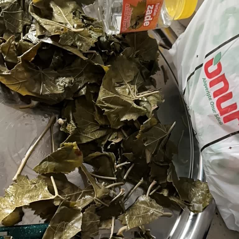 Aldığım Salamura Asma Yaprağı Beklenenden Sert Ve Kullanılamaz Çıktı