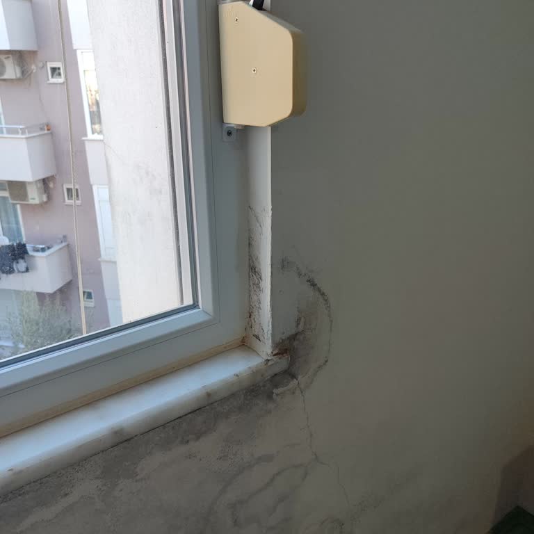 Aksigorta Konut Sigortasında Yaşadığım Büyük Mağduriyet