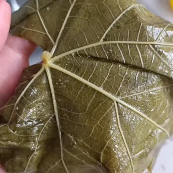 @ege _ovasi Eksik Ve Yanlış Ürün Gönderimi, İade Yapılmıyor!