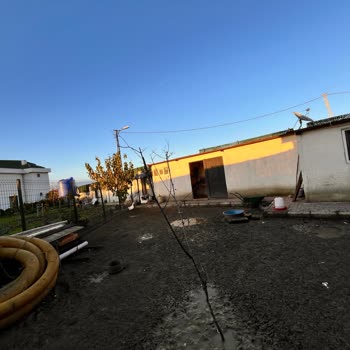 Büyükçekmece Kaymakamlığı Evimin Arkasındaki Kaçak Yapılar ve Güvenlik Sorunu Hakkında Şikayetim