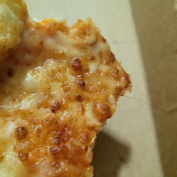 PizzaLazza Pizza İçinde Kıl, İade Talebim Reddedildi