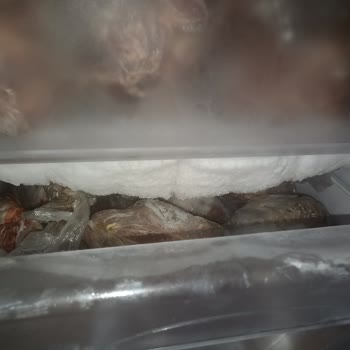 Uğur Derin Dondurucuda Karlanma Ve Buzlanma Sorunu!