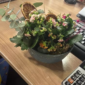 Taze Çiçek | Tazecicek.com Yanlış Çiçek Ve Mesai Sonrası Bırakılma Nedeniyle Büyük Hayal Kırıklığı