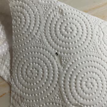 Carrefour SA'dan Aldığım Makarnanın İçinden Böcekler Çıktı