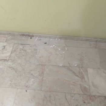 Türk Telekom Apartmanda Düzensiz Ve Kirli Fiber Kablo Çekimi Sonrası Mağduriyet