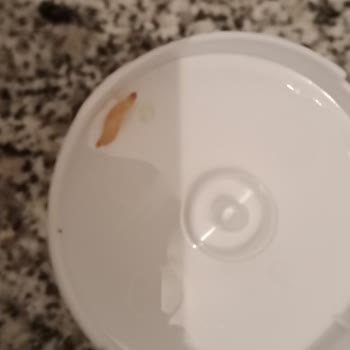 BİM Ranch Sostan Ölü Kurt Çıktı