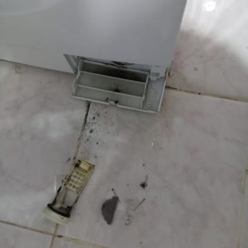 Arçelik Çamaşır Makinesinde Tekrar Eden Arıza Ve Çözüm Sunulmayan Güvenlik Riski