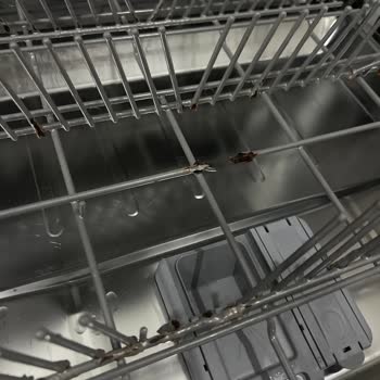 Samsung Bulaşık Makinesinde Sepet Paslanması Mutfak Gereçlerine Zarar Veriyor