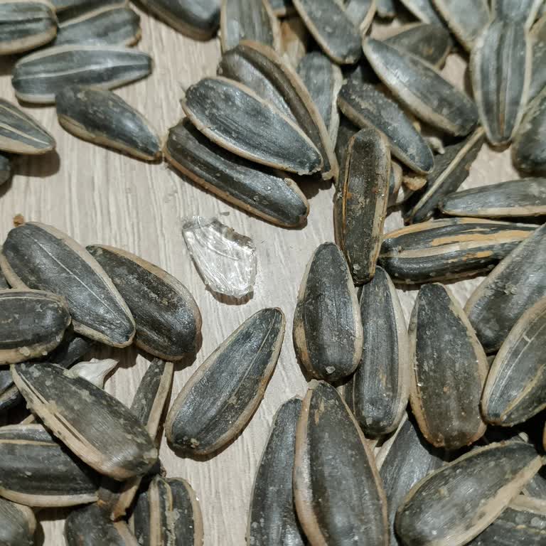 Siyah Çekirdek Tuzlu Paketi İçinde Cam Parçası