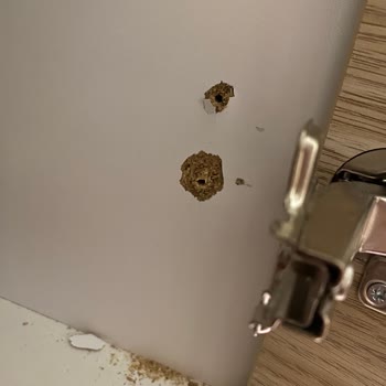 Kırılan Gardırop Kapak Menteşesi Ve Teknik Servis Yanıtsızlığı