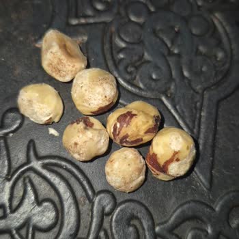 Epttavm Müşteri Sağlığını Tehlikeye Atan Küflü Ve Kalitesiz Fındık Şikayeti