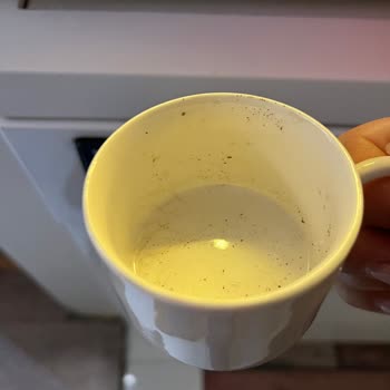 Temiz Yıkamayan Ve Kötü Kokulu Vestel Bulaşık Makinesi İş Yerinde Müşteri Kaybına Yol Açıyor