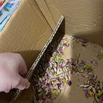 Boz Antep Fıstık İçi Patlamış Ve Bayat Geldi, Ücret İadesi İstiyorum