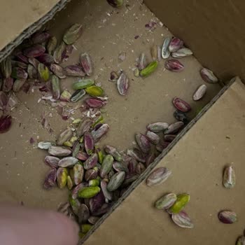 Boz Antep Fıstık İçi Patlamış Ve Bayat Geldi, Ücret İadesi İstiyorum