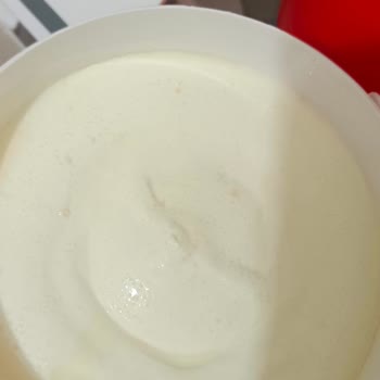 Geçmemiş Tarihli Yoğurtta Küflenme Değişim Reddi Ve Hijyen Şikayeti