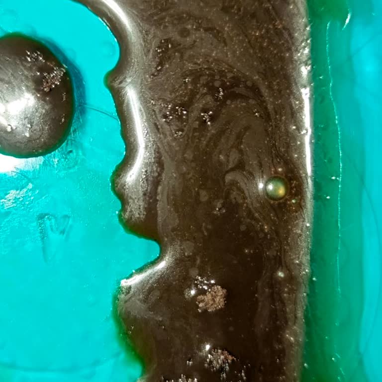 A101 Silivri Şubesinde Bozulmuş Browni Kek: Gıda Güvenliği Endişesi