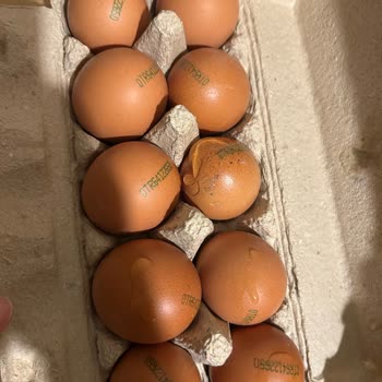 Gecikmeli Teslimat Ve Soğuk Zincir İhlaliyle Gelen Hasarlı Ürünler