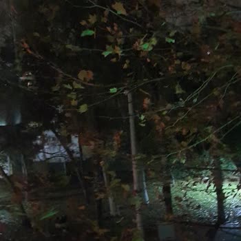 Muratpaşa 2106 Sokakta Lambalar Uzun Süredir Yanmaz, Çözüm Bekleniyor