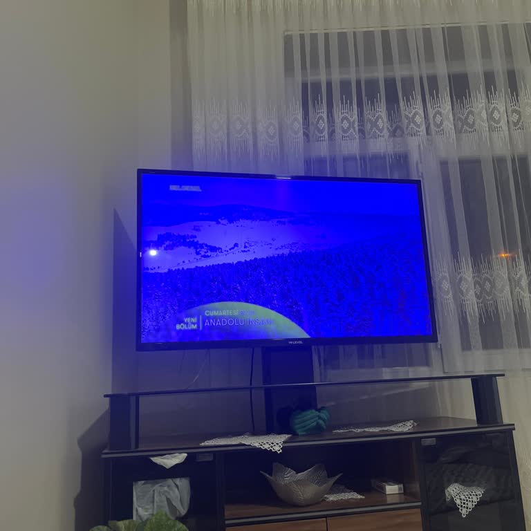 A101'den Satın Alınan TV'de Kısa Sürede Mavi Ekran Sorunu